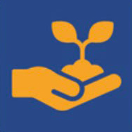 Semeadura e Colheita